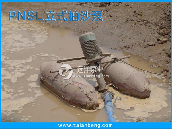 PNSL立式抽沙泵
