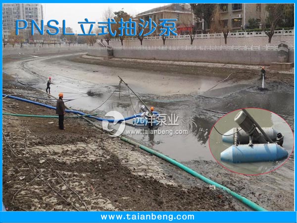 PNSL立式抽沙泵