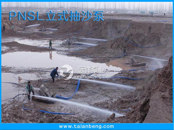 PNSL立式抽沙泵